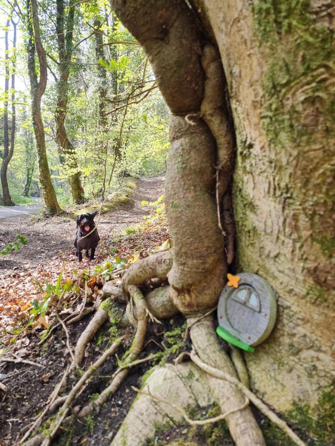 Old Road Cottage Pet Friendly Outdoors Beaches Нит Экстерьер фото